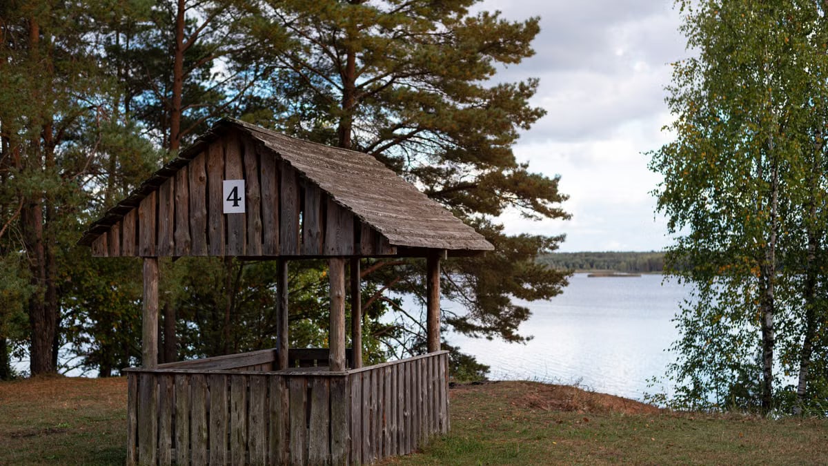 Charming wooden hut amidst trees with a serene lakeside backdrop, perfect for a tranquil retreat.